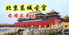 老师连续中出视频中国北京-东城古宫旅游风景区